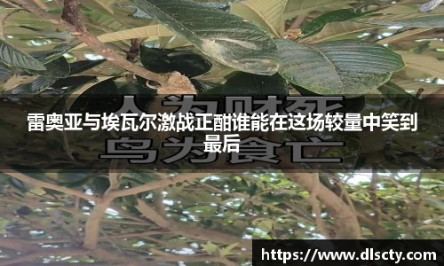 永利皇宫登录入口