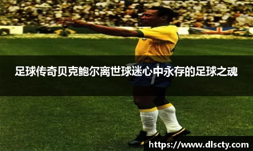 永利皇宫官方直营平台